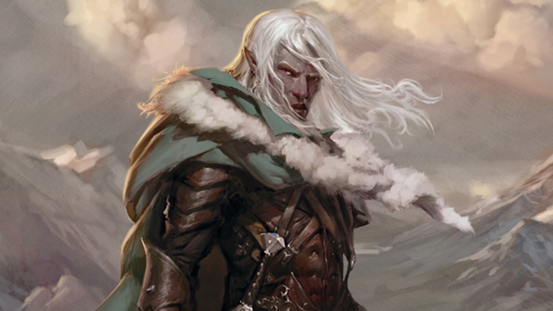 Dungeons and Dragons race guide elf
